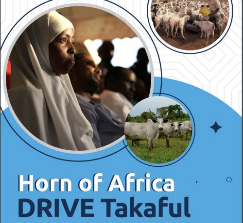 PUBLICATION: Horn of Africa: DRIVE Takaful - FAQ