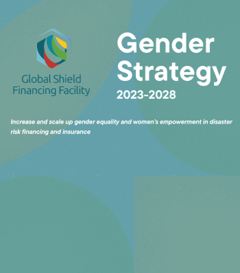 gender strategy