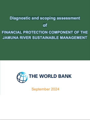 Diagnostic and scoping assessment