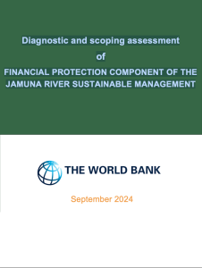 Diagnostic and scoping assessment